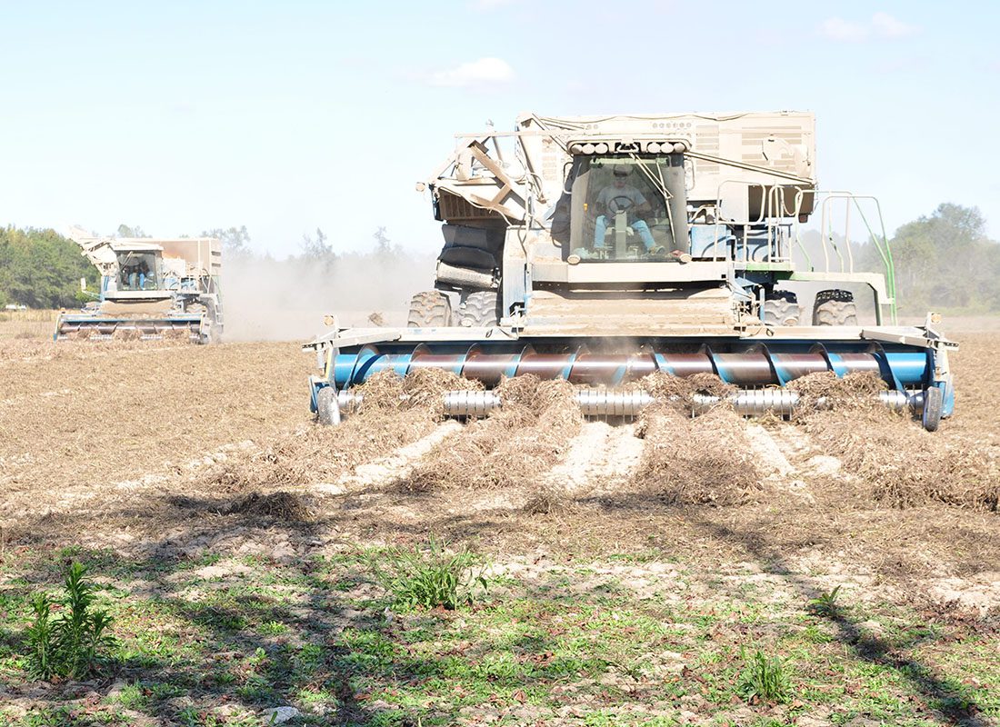 Farm Insurance - Large Harvester Vehicles are Plowing Through Dry Crop Fields on a Sunny Day